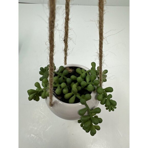 Artificial Hanging Miniature Succulent Plant Faux Fake String of Pearls Ceramic1 - Picture 2 of 6